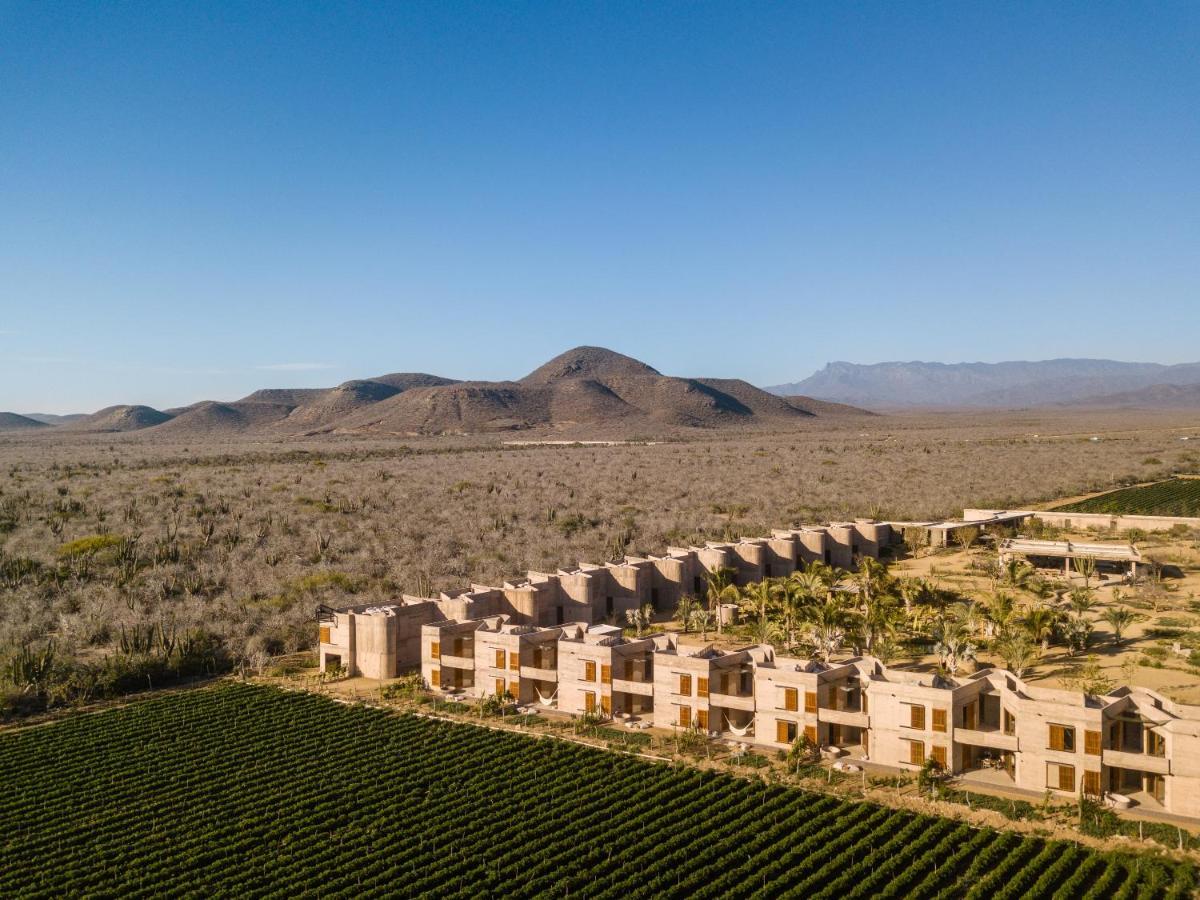 Paradero Todos Santos - Exclusive Experiences Included Kültér fotó