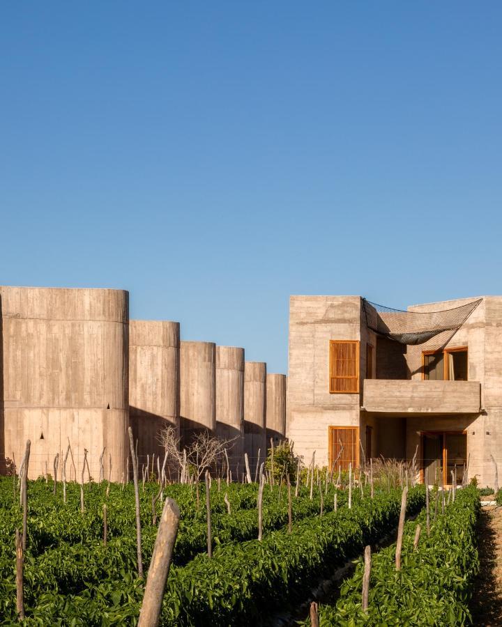 Paradero Todos Santos - Exclusive Experiences Included Kültér fotó