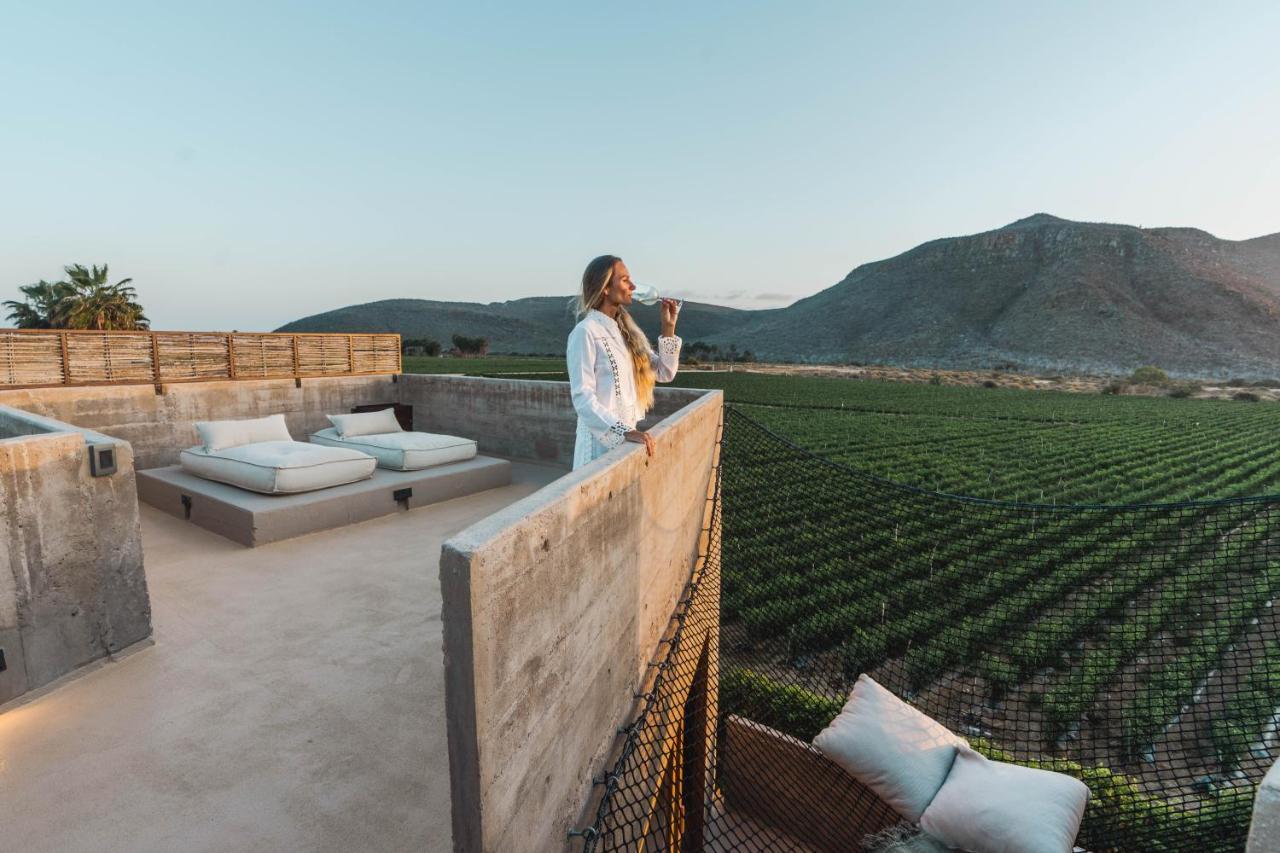 Paradero Todos Santos - Exclusive Experiences Included Kültér fotó